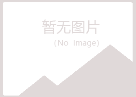 阳山县从安运输有限公司